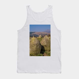 Castlerigg Stone Circle, UK (16) Tank Top